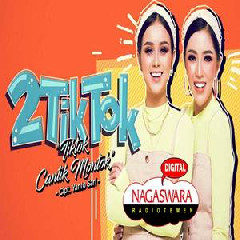 Download Lagu 2TikTok - TikTok Cantik Montok Terbaru