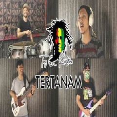 Download Lagu Sanca Records - Tertanam - Tony Q Rastafara (Cover) Terbaru