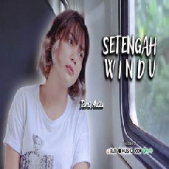 Download Lagu Tami Aulia - Setengah Windu Terbaru