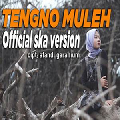 Download Lagu Jovita Aurel - Tengno Muleh (Ska Version) Terbaru