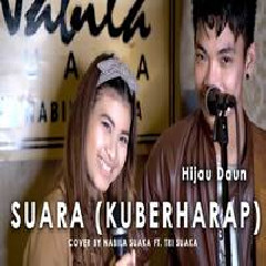 Download Lagu Nabila Suaka - Suara (Ku Berharap) - Hijau Daun (Cover Ft. Tri Suaka) Terbaru