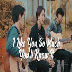 Download Lagu Tereza - I Like You So Much, Youll Know It (Cover) Terbaru