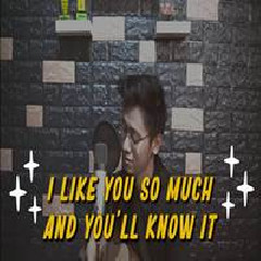 Arvian Dwi - I Like You So Much, You Ll Know It (English Cover).mp3