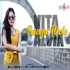 Download Lagu Vita Alvia - Banyu Moto Terbaru