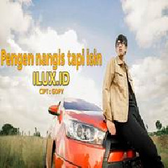 Download Lagu Ilux ID - Pengen Nangis Tapi Isin Terbaru