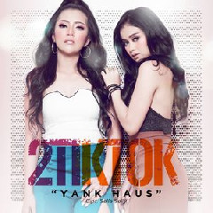 Download Lagu 2TikTok - Yank Haus Terbaru