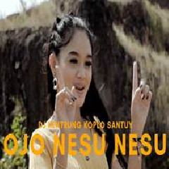Download Lagu Safira Inema - Ojo Nesu Nesu Terbaru