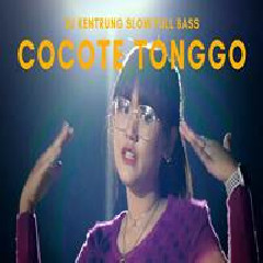 Download Lagu Happy Asmara - Cocote Tonggo Terbaru