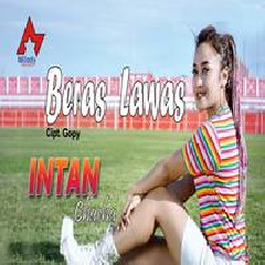 Download Lagu Intan Chacha - Beras Lawas (DJ Remix) Terbaru
