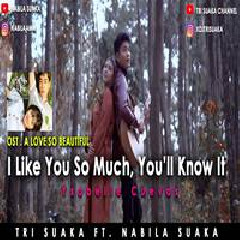 Download Lagu Nabila Suaka - I Like You So Much Youll Know It (Cover Ft. Tri Suaka) Terbaru