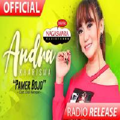 Download Lagu Andra Kharisma - Pamer Bojo Terbaru