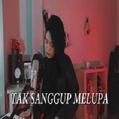 Download Lagu Hanin Dhiya - Tak Sanggup Melupa #TerlanjurMencinta (Cover) Terbaru