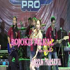 Download Lagu Anggun Pramudita - Bojoku Nakal Terbaru