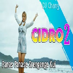 Download Lagu Era Syaqira - Dj Cidro 2 (Panas Panase Srengenge Kuwi) Terbaru