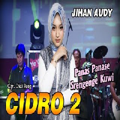 Download Lagu Jihan Audy - Cidro 2 (Versi Koplo) Terbaru