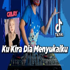 Download Lagu Dj Desa - Gak Suka Gelay Tik Tok X Ku Kira Dia Menyukaiku Slow Terbaru