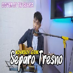 Tri Suaka - Separo Tresno - Ndarboy Genk (Cover).mp3