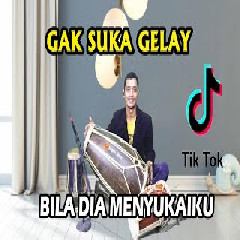 Download Lagu Koplo Time - Gak Suka Gelay (Bila Dia Menyukaiku) Versi Koplo Terbaru