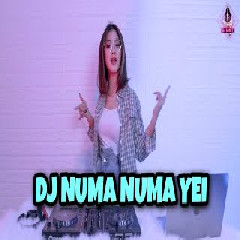 Dj Imut - Dj Numa Numa Yei Slow Remix X Ga Suka Gelay Terbaru 2021.mp3