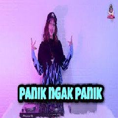 Download Lagu Dj Imut - Dj Damon Vocation X Panik Ngak Panik Terbaru