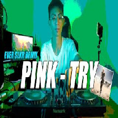 Download Lagu Ever Slkr - Dj Pink - Try (Remix) Terbaru