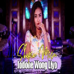 Download Lagu Shepin Misa - Jodone Wong Liyo Terbaru