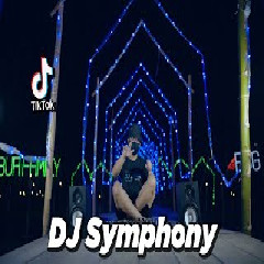 Download Lagu Dj Desa - Dj Sympony X Boma Bomaye X Banana Pui X Wake Me Up Terbaru