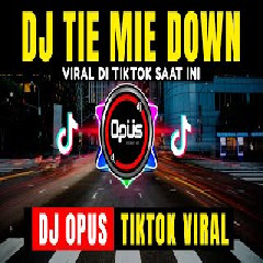 Dj Opus - Tie Mie Down Remix Tiktok Viral 2021.mp3