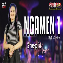 Download Lagu Shepin Misa - Ngamen 1 Terbaru