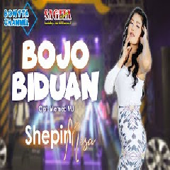 Download Lagu Shepin Misa - Bojo Biduan Terbaru