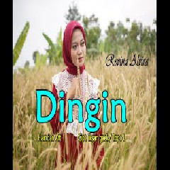 Revina Alvira - Dingin - Hamdan ATT (Cover Dangdut).mp3