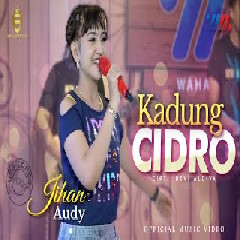 Download Lagu Jihan Audy - Kadung Cidro feat New Bossque Terbaru