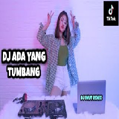 Download Lagu Dj Imut - Ada Yang Tumbang X Maymuna Jaipong X Akimilaku Terbaru