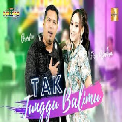 Download Lagu Fira Azahra - Tak Tunggu Balimu feat Brodin New Pallapa Terbaru