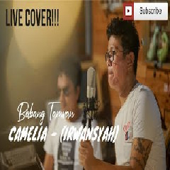 Andika Mahesa - Camelia (Cover).mp3