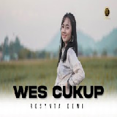 Rosynta Dewi - Wes Cukup.mp3