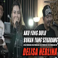 3 Pemuda Berbahaya - Aku Yang Dulu Bukan Yang Sekarang feat Delisa Herlina (Cover).mp3