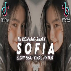 Download Lagu Dj Komang - Dj Sofia Slow Beat Viral Tiktok Terbaru