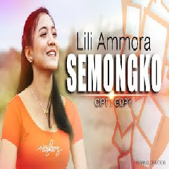 Lili Amora - Dj Semongko.mp3
