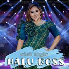 Download Lagu Wiwik Sagita - Halu Boss Terbaru