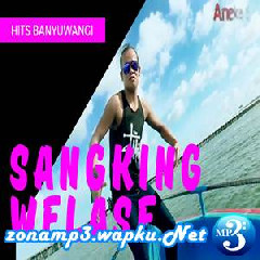 Demy - Sangking Welase.mp3