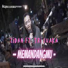 Zinidin Zidan - Memandangmu Ikke Nurjanah Feat Tri Suaka.mp3