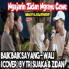 Tri Suaka - Baik Baik Sayang Feat Zinidin Zidan.mp3