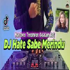 Download Lagu Dj Didit - Dj Hate Sabe Merindu Terbaru