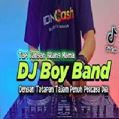 Download Lagu Dj Didit - Dj Boy Band Terbaru