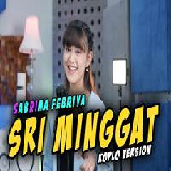 Sabrina Febriya - Sri Minggat Koplo Version.mp3