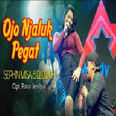 Shepin Misa - Ojo Njaluk Pegat Feat Glowoh.mp3