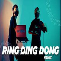 Dj Desa - Dj Ring Ding Dong Tiktok Full Bass 2022.mp3