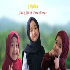 Download Lagu 3 Nahla - Adek Jilbab Biru Merah Terbaru