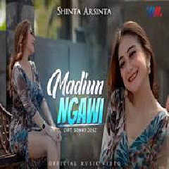 Download Lagu Shinta Arsinta - Madiun Ngawi Terbaru